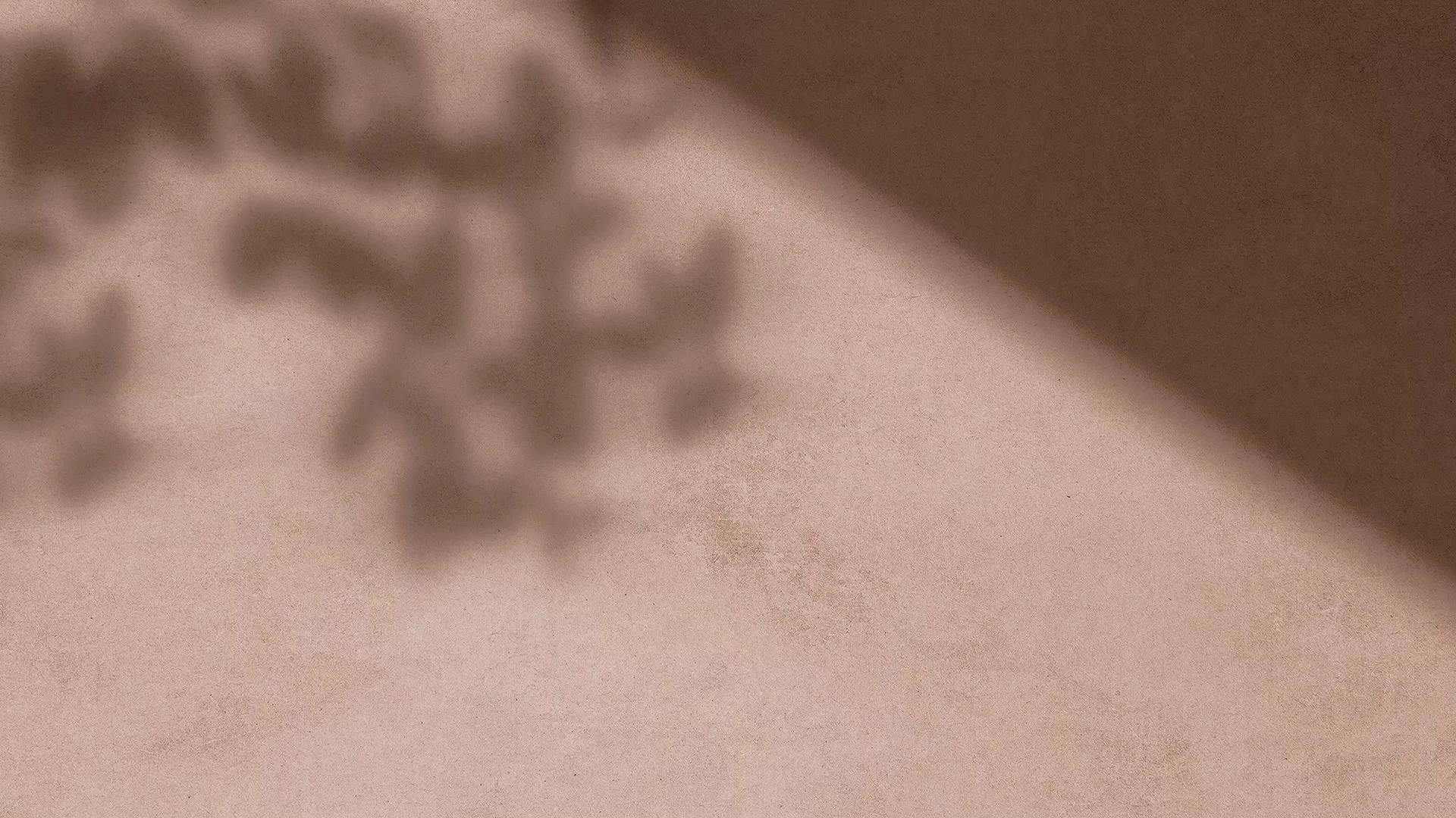 Abstract warm beige and brown textured wall with a blurred plant shadow, soft diagonal light